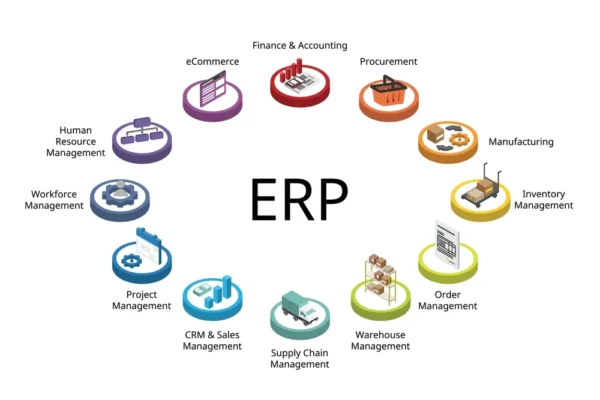 Top ERP Development Crawley | Empowering Local Businesses with Integrated Solutions